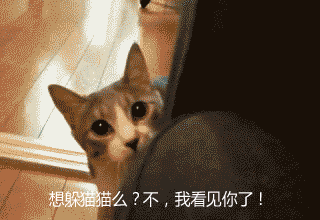 小孩子们的躲猫猫