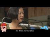第16期：【麦兜找穿帮】解说《特种兵之火凤凰》穿帮镜头 何仙姑夫作品