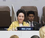 彭丽媛出席联合国会议