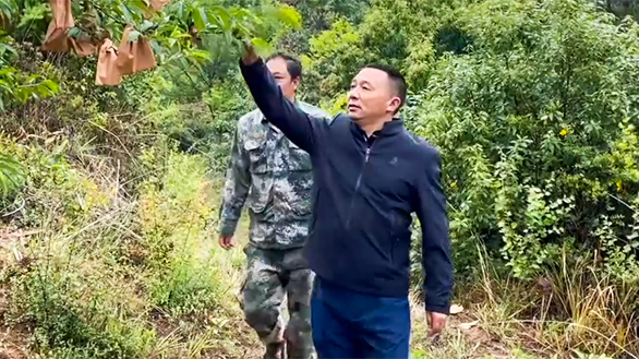 楚雄州委政法委 李光远  