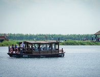 富锦：初秋时节湿地公园人气旺